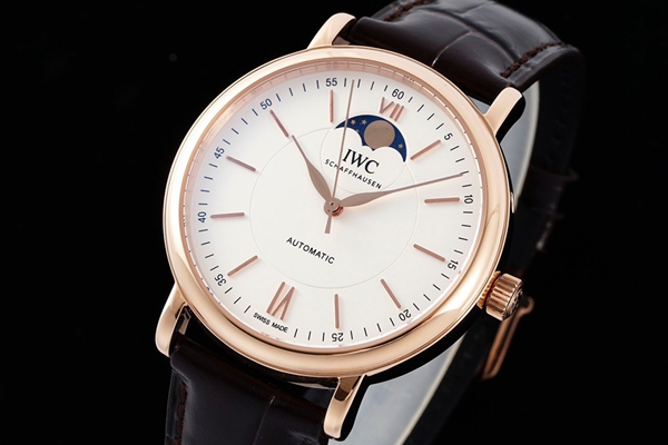 アイ・ダブリュー・シー背面デザイン